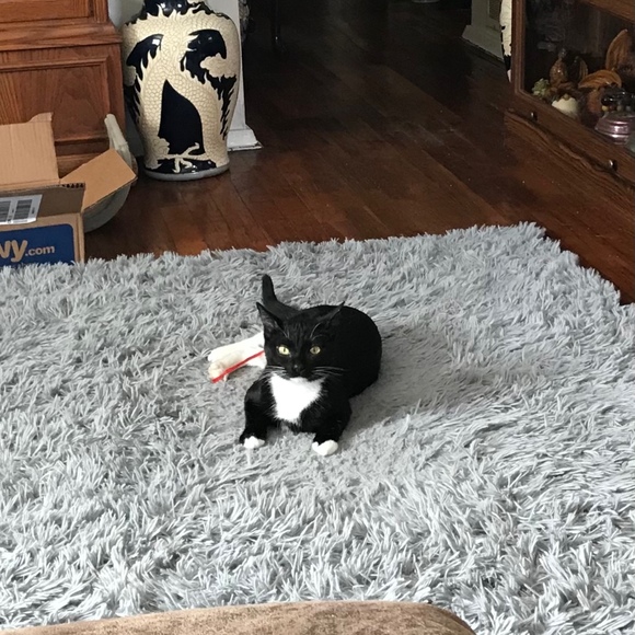 Meet your Posher, Joyce - Picture 1 of 1